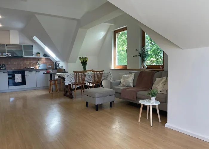 公寓 Anders 索波特